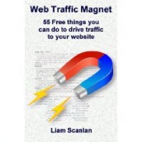 Web Traffic Magnet