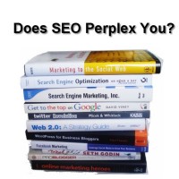 Does SEO Perplex You?